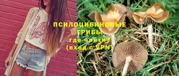 PSILOCYBIN Богданович